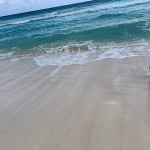 Meet your Posher, Nicca